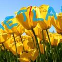 henrietta eghan - @SWEETIEAMA - Twitter