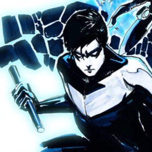 Gothams Winged Knight. 
[DC Multiverse RP]