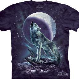 WildlifeWed's profile picture. We are WILD!