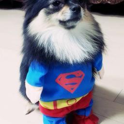 I really love him!