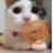 道北のドSのアイコン