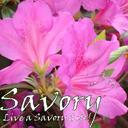 Nancy Smith - @LiveaSavoryLife - Twitter