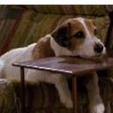 Gee Hunter - @gee_gerry - Twitter