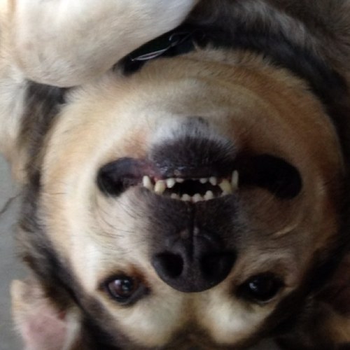 poppamouw's profile picture. 