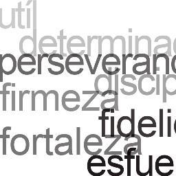(Diseño Web, Multimedia, 
Gráfico,Redes Sociales, Medios.)  
#Productor de Multimedia