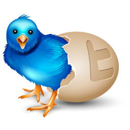 A Twitter Account is BORN ;) #NewAccount