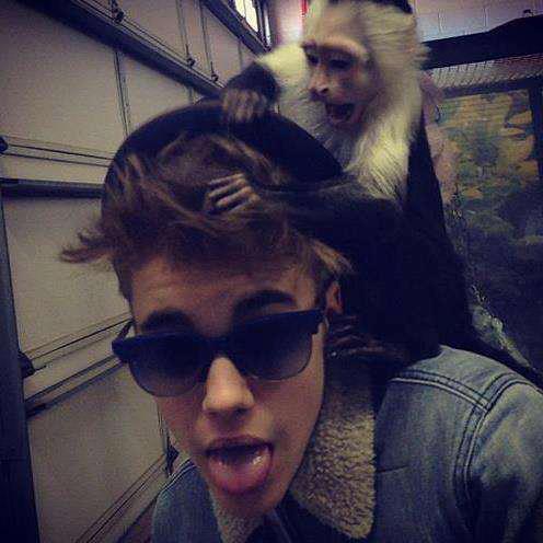 Abbyline_Bieber's profile picture. I love Justin Bieber