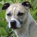 Anna Lloyd - @crnelkat - Twitter