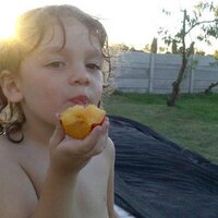 nestor esposito (@nestoresposito) 's Twitter Profile Photo