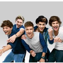 follow @NiallucinantOD !