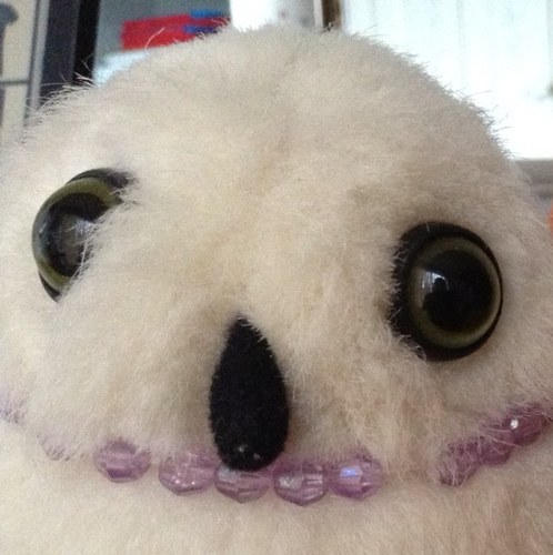 owlligatorsky's profile picture. Sky, also known as Jam Face (you don't need to know why)