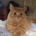 Victoria Buffington  - @vbtorie8 - Twitter