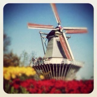 #instagram - #bijzonderefotosnederland - #fotografie - toont de meest bijzondere foto's van Nederland - door medelanders