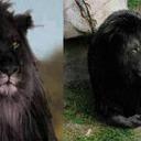 Frieda Nolan - @NolanFrieda - Twitter