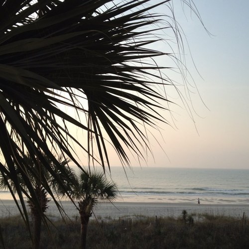 GHCam1's profile picture. 