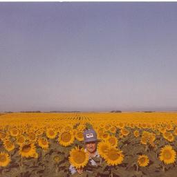 AnnMarieMHill's profile picture. Teacher, Life-Long Learner, Avid Reader, News Addict, Parent, Wife, Pet Lover, SDEA Member.