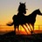 romerocem's profile image