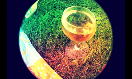 chebiencha's profile picture. 