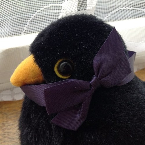 GalenaSanchez's profile picture. Hello, Galena here! (Or PbS, if you prefer) Umm… yeah, hi :3