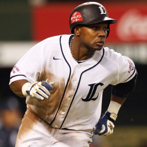 karioka17's profile picture. 