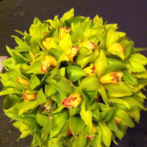 tctexan's profile picture. Owner Legendary Events/ The Estate/ Flourish Atlanta