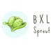 Sandra Amorim (@bxlsprouts) Twitter profile photo