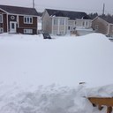 meng fu - @fu_meng - Twitter