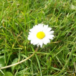 ValdeBoutonne's profile picture. Camping 3* en bordure du plan d'eau de la Boutonne, à 900m du centre ville, camping vert où vous vous retrouverez en famille pour la détente et le repos...