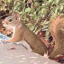 Gary Yue - @gary02140 - Twitter