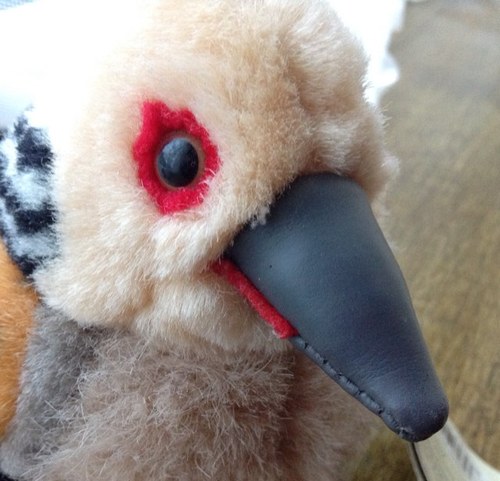 crysturtledove's profile picture. Call me Crystal or Cryssy, and please tweet me!