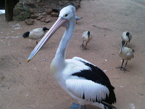 emetnik's profile picture. 