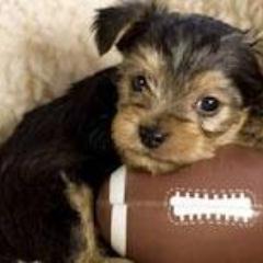 DemaryMonea's profile picture. Lovin my family and God. Not letting no one stand in my way of me acheiving my dreams.