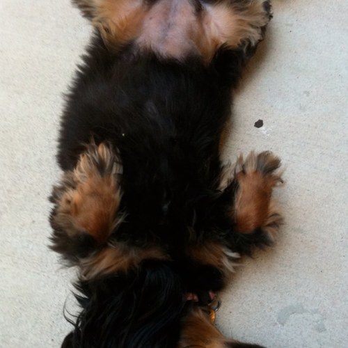 misty_mg's profile picture. 