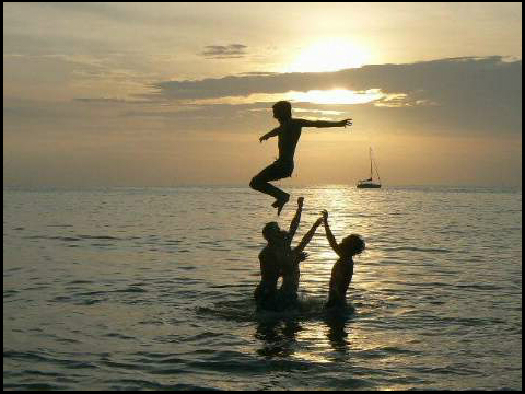 adamshean's profile picture. 