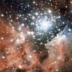 bertlee6's profile picture. 