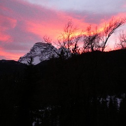 gs18215's profile picture. 