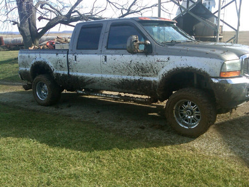 Owner, Diesels Unlimited, Inc.