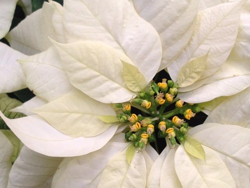 BonnieReining's profile picture. 