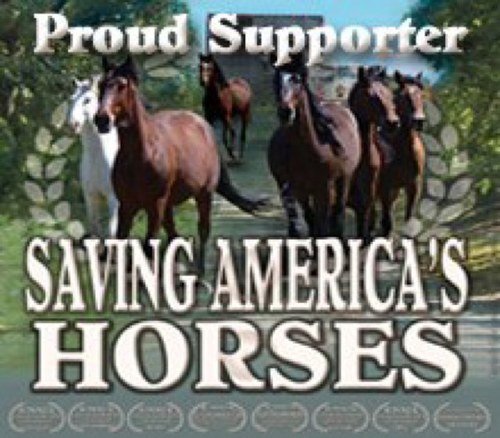 Anti Animal Abuse, Anti Horse Slaughter, Horsewoman, Animal Advocate