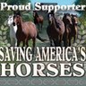 SarlisSioux's profile picture. Anti Animal Abuse, Anti Horse Slaughter, Horsewoman, Animal Advocate