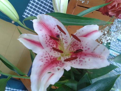 92louisen's profile picture. 