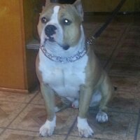 MANNY (@caponez25) 's Twitter Profile