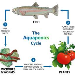 PORTAQUAPONICS's profile picture. Commercial Aquaponics in South Africa