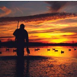 torts38702's profile picture. 