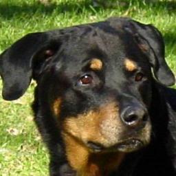 JeffStall's profile picture. 