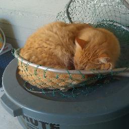 EqualInGodsEyes's profile picture. 