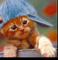 jordi45jordi's profile picture. 