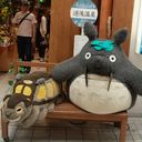 ののんが (@05nobuko04) Twitter
