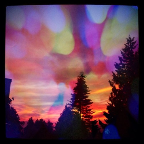 TsawwassenMojo's profile picture. now tweeting @zoeintsawwassen