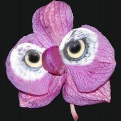 http://t.co/VgJgwvlS, http://t.co/dtLJl7Wf, http://t.co/DGIRrDHk, http://t.co/UwEhcIc4, http://t.co/Yj8HaSEb